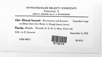 Elsinoe fawcettii image